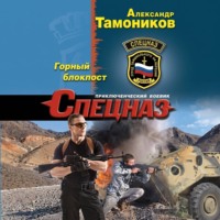 Александр Тамоников. Горный блокпост