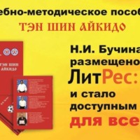 . Аудиокнига «Тэн Шин Айкидо»