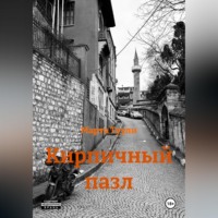 Марта Туули. Кирпичный пазл