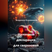 Владимир Кожевников. Налоговая декларация для сверхновой