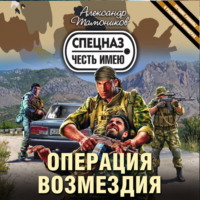 Александр Тамоников. Операция возмездия