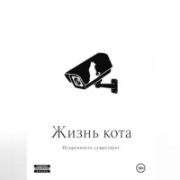 . Жизнь кота