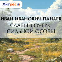 Иван Иванович Панаев. Слабый очерк сильной особы