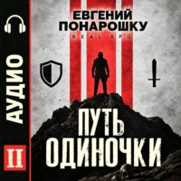 Евгений Понарошку. Путь одиночки. Книга 2