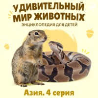 . Удивительный мир животных. Азия. Серия 4