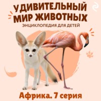 Наталия Баранова. Удивительный мир животных. Африка. Серия 7