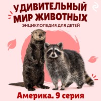 . Удивительный мир животных. Америка. Серия 9