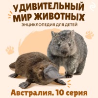 Наталия Баранова. Удивительный мир животных. Австралия. Серия 10