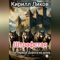 Кирилл Ликов. Штрафстая Том первый: Дорога из дома