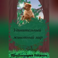 Алена Шолыгина. .