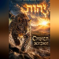 Йоэль Намэр. Смысл жизни