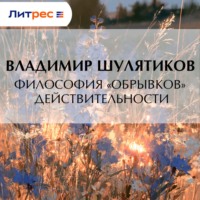 Владимир Михайлович Шулятиков. Философия «обрывков» действительности