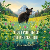 Холли Вебб. Потерянный медвежонок