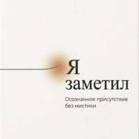 Александр Демин. Я заметил. Осознанное присутствие без мистики