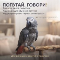 Светлана Хомякова. Аудиокурс для обучения попугая