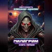 Александр Соколюк. Пилигрим: книга первая