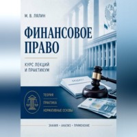 . Финансовое право. Курс лекций и практикум