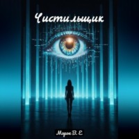  Морок В.Е. Чистильщик