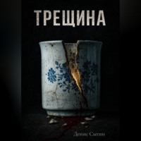 Денис Сытин. Трещина