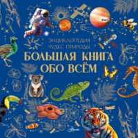 . Большая книга обо всём