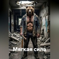 Капитан М.. Мягкая сила
