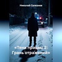 Николай Селезнев. Тени правды 2. Грань отражений