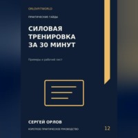 Сергей Орлов. Силовая тренировка за тридцать минут