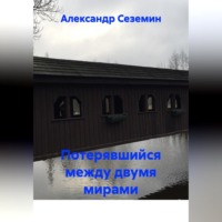 Александр Сеземин. Потерявшийся между двумя мирами