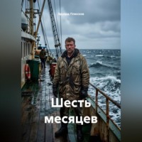 . Шесть месяцев