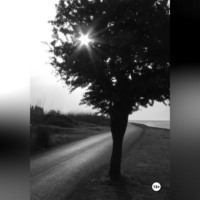 . Лучшие годы