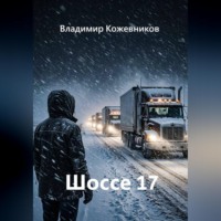 Владимир Кожевников. Шоссе 17