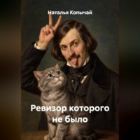 . Ревизор которого не было