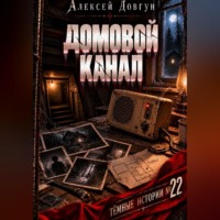 Алексей Довгун. Домовой канал