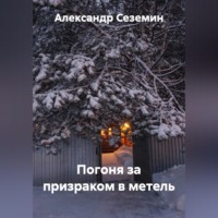 Александр Сеземин. Погоня за призраком в метель
