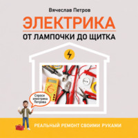Вячеслав Петров. Электрика. От лампочки до щитка. Реальный ремонт своими руками