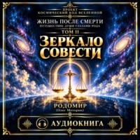 Родомир Олег Моторин. Жизнь после смерти. Путешествие души глазами рода. Том 2. Зеркало совести
