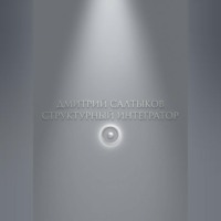 Дмитрий Салтыков. Структурный интегратор