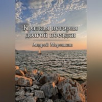 Андрей Мерешкин. Краткая история долгой поездки