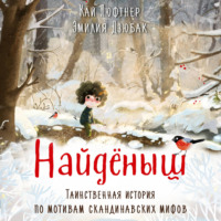 Кай Люфтнер. Найденыш