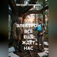 Евгений Потемкин. Электрон всё ещё ждёт нас
