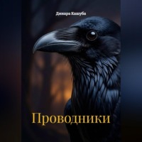 Динара Кашуба. Проводники