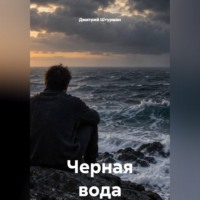 Дмитрий Штурман. Черная вода