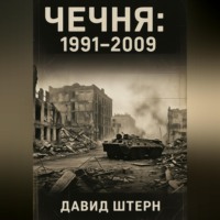 Давид Штерн. Чечня: 1991-2009