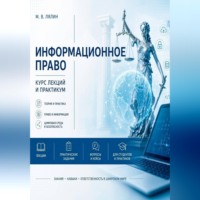 Михаил Лялин. Информационное право. Курс лекций и практикум