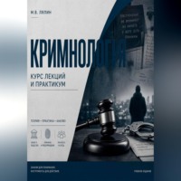 Михаил Лялин. Криминология. Курс лекций и практикум
