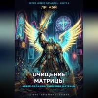 Ли Мэй. Кибер-Паладин: Очищение Матрицы