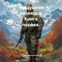 Владимир Поселягин. Воздушная разведка. Книга первая.
