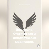 Александр Зельгейм. Два крыла. Статическая и динамическая медитации
