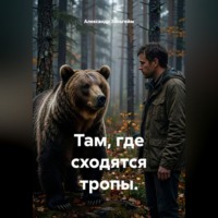 Александр Зельгейм. Там, где сходятся тропы