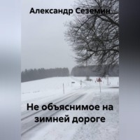 Александр Сеземин. Не объяснимое на зимней дороге